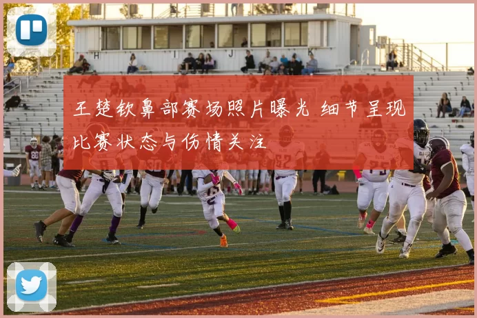 王楚钦鼻部赛场照片曝光 细节呈现比赛状态与伤情关注