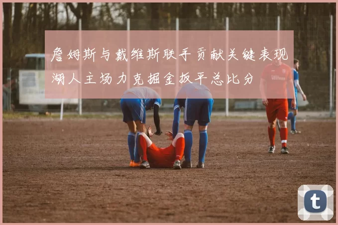 詹姆斯与戴维斯联手贡献关键表现湖人主场力克掘金扳平总比分